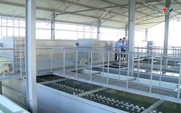 Ứng dụng công nghệ, chuyển đổi số trong cung ứng, kinh doanh sản xuất nước sạch