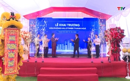 Khai trương Văn phòng Halotimes Thanh Hoá