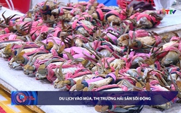 Bản tin Tài chính - Thị trường ngày 11/5/2026