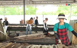 Giải pháp đẩy mạnh phát triển doanh nghiệp ở Như Thanh