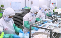 Thanh Hóa có 6 doanh nghiệp xuất khẩu thủy sản chính ngạch