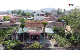 Đền thờ tướng quân Trần Lựu 
