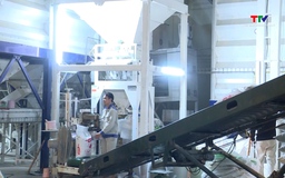 Gạo Việt Nam tăng giá trên thị trường thế giới