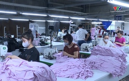Thích ứng để giữ thị trường xuất khẩu