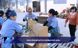 Bản tin Tài chính - Thị trường ngày 15/5/2026