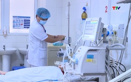 Cảnh báo mùa rắn sinh sản - nguy cơ rắn độc cắn gia tăng