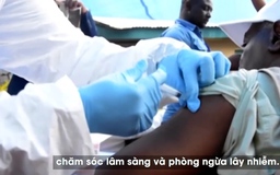 Chủ động phòng bệnh Ebola 