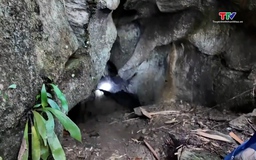 Hành trình khám phá hang Cặp Đớp