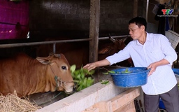Mở lối hoàn lương