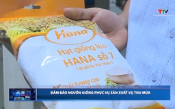Bản tin Dòng chảy kinh tế ngày 20/5/2026