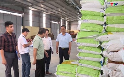 Đảm bảo nguồn giống phục vụ sản xuất vụ Thu Mùa
