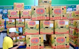 Mở rộng thị trường xuất khẩu mặt hàng sầu riêng 