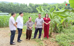Vận động hội viên xây dựng, phát triển các mô hình kinh tế tập thể