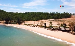 Du lịch trải nghiệm tại Bãi Đông Nghi Sơn 