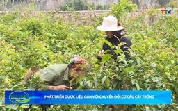 Bản tin Nông nghiệp - Nông thôn ngày 23/5/2026