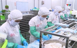 Nhiều dư địa tăng trưởng xuất khẩu thủy sản trong năm 2026