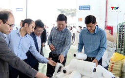 Tăng tiếng nói của doanh nghiệp trong sách trắng thuế