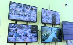 Vận hành camera giám sát tại các đường ngang qua đường sắt