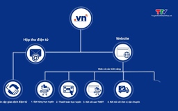 Sắp đấu giá 77 tên miền “.vn” ngắn, đẹp 