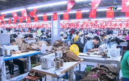 Đảm bảo cấp điện trong ngày nắng nóng