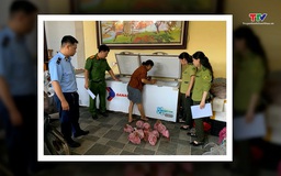 Phát hiện, thu giữ 290 cá thể cò hương cấp đông chờ tiêu thụ