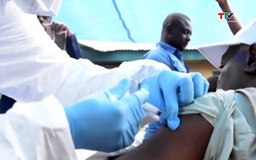 Bổ sung thêm 6 chủng virus mới vào phác đồ điều trị bệnh Ebola