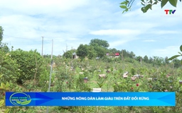Bản tin Nông nghiệp - Nông thôn ngày 27/5/2026