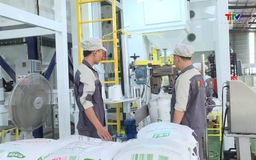 Thúc đẩy xuất khẩu gạo theo hướng bền vững 