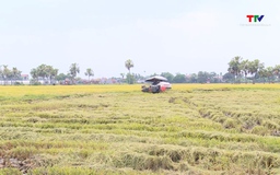 14.000 đến 15.000 ha có nguy cơ thiếu nước, hạn hán, xâm nhập mặn 