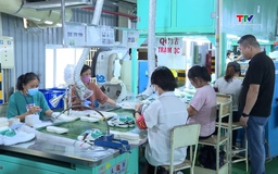 5 tháng năm 2026, Thanh Hóa thu ngân sách tăng 12,6% so với cùng kỳ