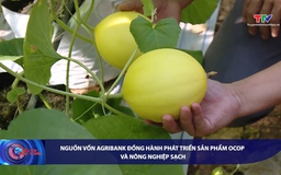 Bản tin Tài chính - Thị trường ngày 29/5/2026