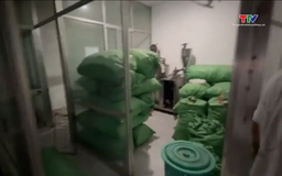 Triệt phá đường dây sản xuất, buôn bán thuốc Đông dược quy mô lớn