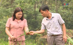 Gương sáng nơi bản làng