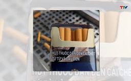 Không in cảnh báo sức khỏe trên bao bì thuốc lá có thể bị phạt đến 40 triệu