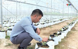 Khoảng 40.000 ha sản xuất áp dụng công nghệ tưới nước tiết kiệm
