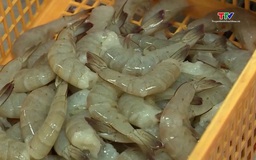 Thanh Hóa có 420 ha nuôi trồng thủy sản đạt tiêu chuẩn hữu cơ