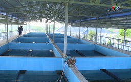 Bảo đảm nguồn cấp nước sạch trong mùa hè