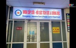 Thanh Hoá ghi nhận một ca tử vong do viêm não Nhật Bản