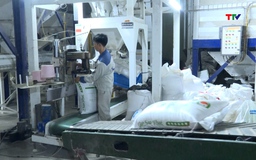 Ứng dụng công nghệ trong chuỗi  cung ứng nông sản an toàn