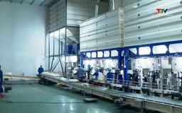 Bỏ giấy phép xuất khẩu gạo - Mở cửa thị trường nhưng cần giữ chuẩn
