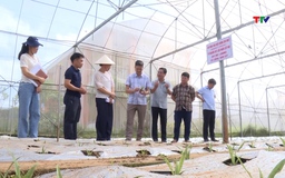 Ứng dụng khoa học công nghệ vào sản xuất giống cây trồng