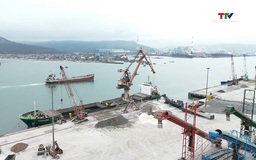 Cước vận tải biển tăng cao