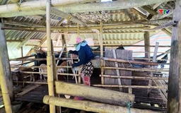 Giải pháp phòng chống dịch bệnh cho đàn vật nuôi trong mùa nắng nóng