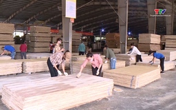 Nỗ lực thúc đẩy tiêu thụ nông, lâm, thủy sản