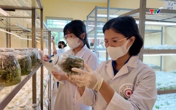 Đoàn thanh niên Ủy ban Nhân dân tỉnh tiên phong làm chủ Khoa học công nghệ
