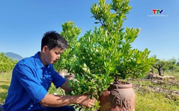 9x năng động làm kinh tế