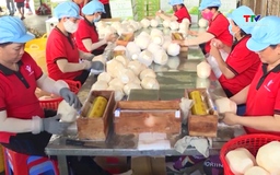 18.000 sản phẩm tham gia hệ thống truy xuất nguồn gốc