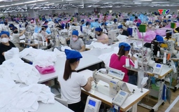 Xuất khẩu Dệt may đạt 18,8 tỷ USD
