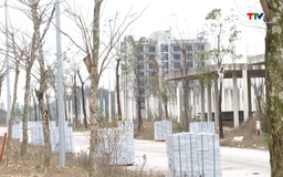 Triển khai cơ chế đặc thù để xử lý vi phạm pháp luật về đất đai