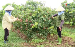 Đẩy nhanh tiến độ hệ thống truy xuất nguồn gốc